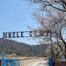 엉클캠프 이미지
