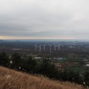 목장풍경민박 이미지