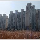 울산 솔마루길(2011-3-5) 이미지