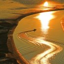 순천만습지 이미지