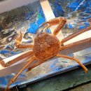 조개2번지 이미지