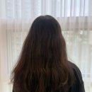 미S라인 | 시아 ‘s 통통미 가득한 히피펌 후기 장마철에도 예쁜 컬