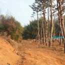 천의1리 이미지