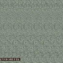 매직아이 - 서구 | 매직아이