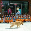 마루유치원 이미지