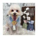 멍앤리치 이미지