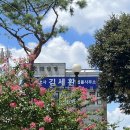 변호사김세환법률사무소