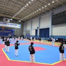 용인대 태비태권도장 한울관 | 경기도교육감기태권도대회 경기도태권도대회 경기도태권도협회 파주시태권도 파주시스포츠클럽 한울...