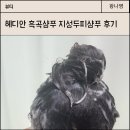 헤디안 흑곡샴푸 지성두피가 써도 좋은 탈모샴푸추천