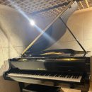 라움피아노교습소 이미지