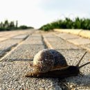 한,중 행정사 이미지