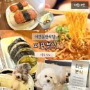나밍밍 강아지네 | [서울숲맛집] 띠또분식 내돈내산 가성비맛집 주차가능 애견동반가능 솔직후기 성수동맛집