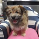 사림동 사격장 이미지