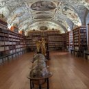 놀이터호프 이미지