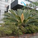 안좌면사무소 이미지