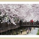 산척가든 Daum카페