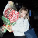 다예의원 뉴스엔