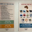 행복한들 | 파주 야당동 애견카페 자빠따 도그(CHAPATA DOG) 뽀숑이들과의 행복한 하루