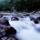 도넛소프트 주식회사 이미지