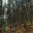 잣나무산장 이미지