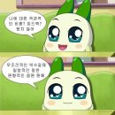 포토시그니처서산 | 🌼🌼2025 서산 국화 축제 방문 후기(~11.16까지) 입장료 무료🌼🌼
