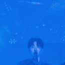 20251025 횡성한우축제 짧은 후기 이미지