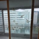 청솔약품 | 백석세아청솔아파트 이사청소후기
