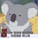 눈 갈아 끼운 지 1주년 체험 후기