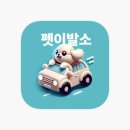 강아지 이발소 이미지