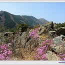 천주산 만남의 광장 이미지