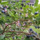 미륵산계곡꿈의궁전마을 이미지