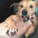 마이헤어 왕십리점 이미지