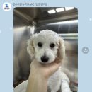 온누리동물병원 이미지