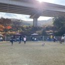 초원켄넬 이미지