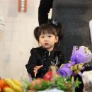 성광목장 이미지