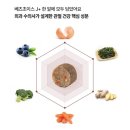 건강초이스 | 미니비숑 사료 추천 베츠초이스 관절건강 J+ 급여 후기