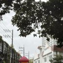 파랑새유치원 | 파랑새유치원 2026년 입시설명회 후기