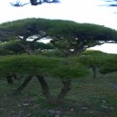 우송농장 이미지