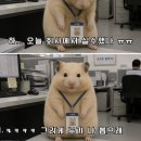 무지개광고간판 | 올데이 태국 치앙마이산 마하차녹 무지개망고🥭, 샤브샤브 무한리필 후기(주말 종류, 가격정보 및 소스...
