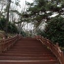 봉성산 공원 이미지