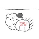 화정축산 이미지