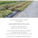 24년 올해 국산 햇참깨로 짠 참기름 판매합니다. 이미지