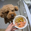 온 동물의료센터 이미지