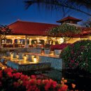 하이야트 이미지