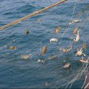 미성자원환경 이미지