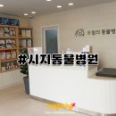 오월의 동물병원 네이버블로그