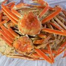 강구시장 이미지