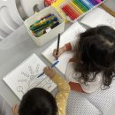 강아지랑고양이 이미지