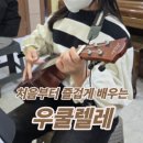즐겁게 배우는 우쿨렐레 네이버블로그