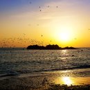 해뜨는풍경 이미지